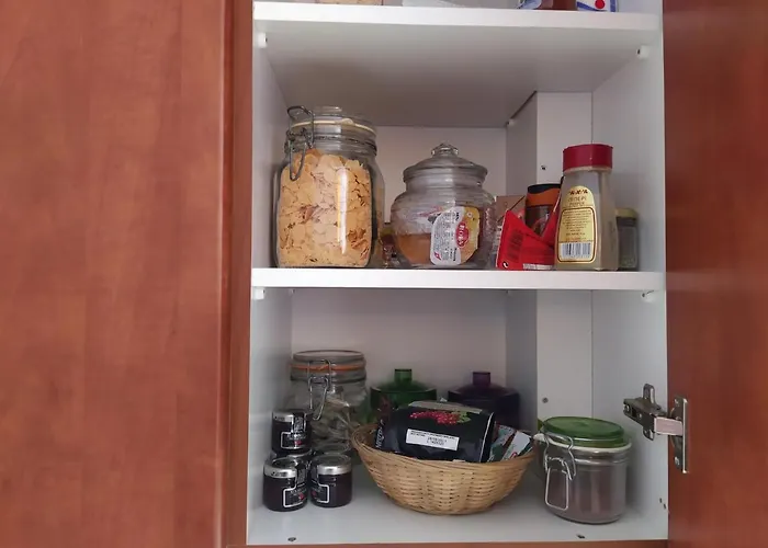 Spacious Archidamoy 114 アパート *